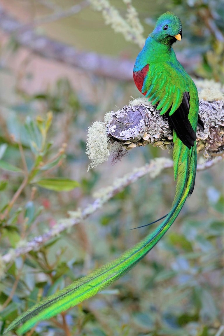 Costa Rica